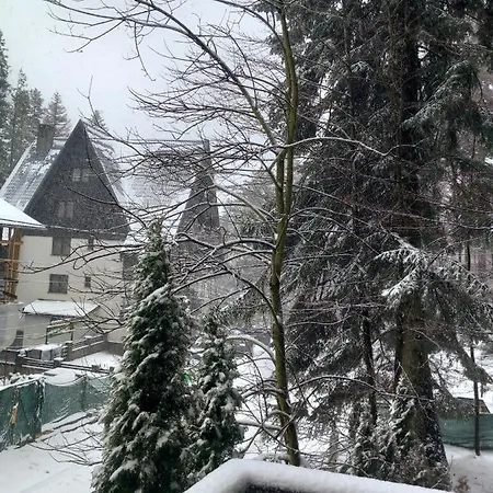 Maria * Sinaia
