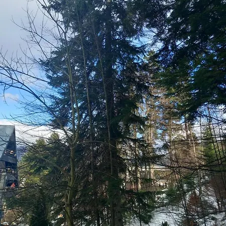 Maria Apartment Sinaia